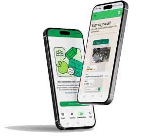 ارسال پیام انبوه با واتساپ